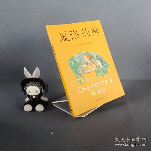 探索书海洋 孔夫子旧书网如何重塑书籍消费体验